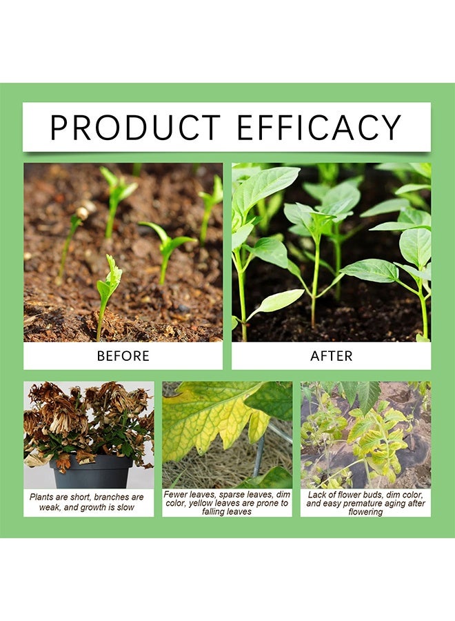 MOONSPRY Rapid Rnooting Solution,All-Purpose Rooting Solution, Rooting Hormone for Cuttings,Rapid Rooting Solution Plant Growth Enhancer Supplement, Root Starter for Plant Cuttings Suitable for Flower Vegetable Herb Fruit Tree Garden,50ml - Image 4